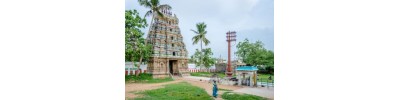 222. திருநாவலூர்